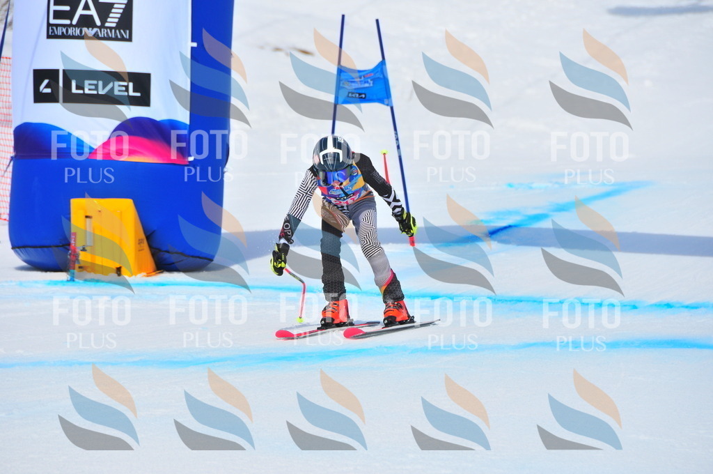 DSC_5733 | holidayphoto