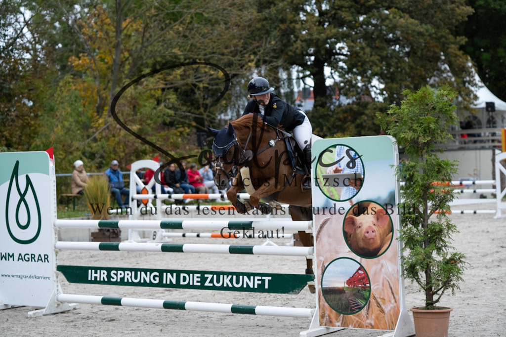 A7V08627 | Turnier/Reitfotograf