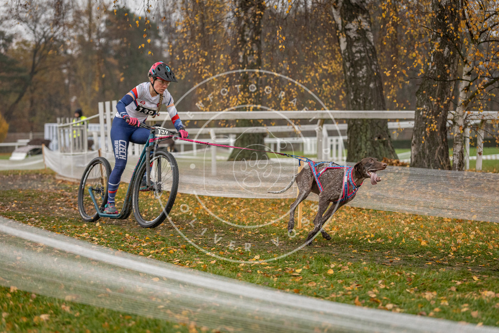 CaniXpix_DV3A7921 | Hundefotografie, Tierfotograf, Pfotenfotografie, Fotoshooting Hund, Hunde Portrait, Hundesport, Hundeportraits, Heideshooting, Hunde, Sportfotograf, Hundefotograf, Turnierhundsport, THS,  - Realisiert mit Pictrs.com