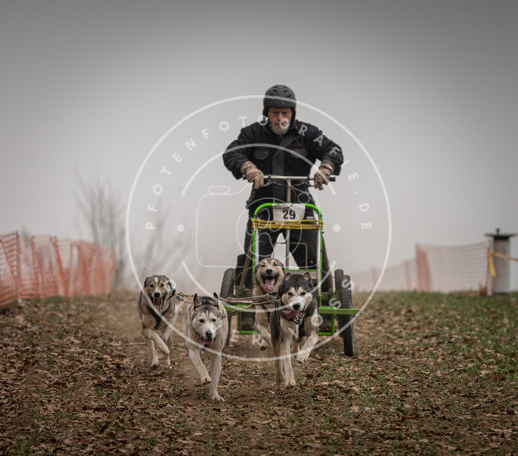Pfotenfotografie_DV3A4418 | Hundefotografie, Tierfotograf, Pfotenfotografie, Fotoshooting Hund, Hunde Portrait, Hundesport, Hundeportraits, Heideshooting, Hunde, Sportfotograf, Hundefotograf, Turnierhundsport, THS,  - Realisiert mit Pictrs.com