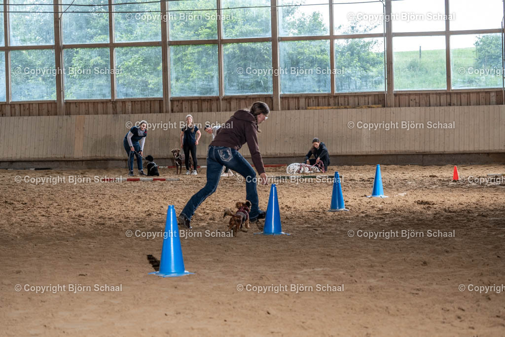 SBS04633 | BS-foto
