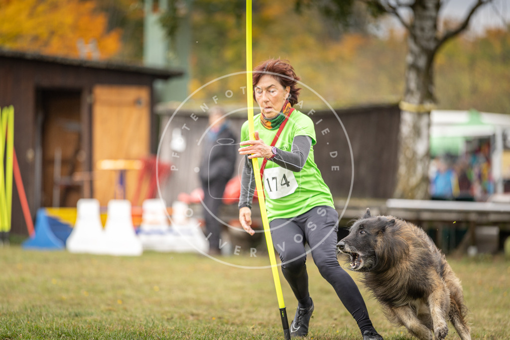 Pfotenfotografie_DV3A5503 | Hundefotografie, Tierfotograf, Pfotenfotografie, Fotoshooting Hund, Hunde Portrait, Hundesport, Hundeportraits, Heideshooting, Hunde, Sportfotograf, Hundefotograf, Turnierhundsport, THS,  - Realisiert mit Pictrs.com