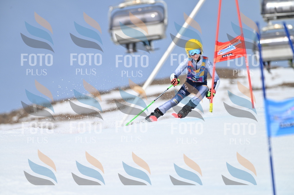 BGV_3929 | holidayphoto