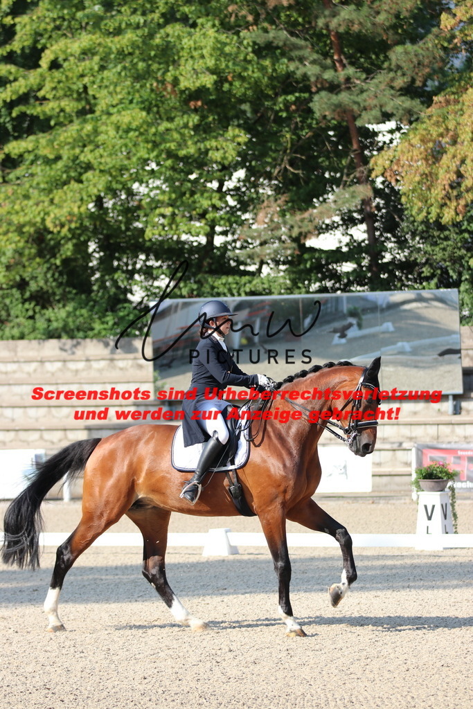 IMG_8881 | lmwpictures - Realisiert mit Pictrs.com