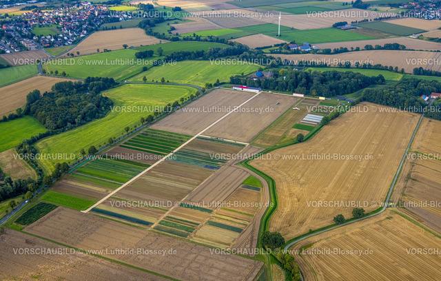 Werl230806514 | Luftbild, Wiesen und Felder Scheidinger Straße und Hof Heide, Werl, Werl-Unnaer Börde, Nordrhein-Westfalen, Deutschland