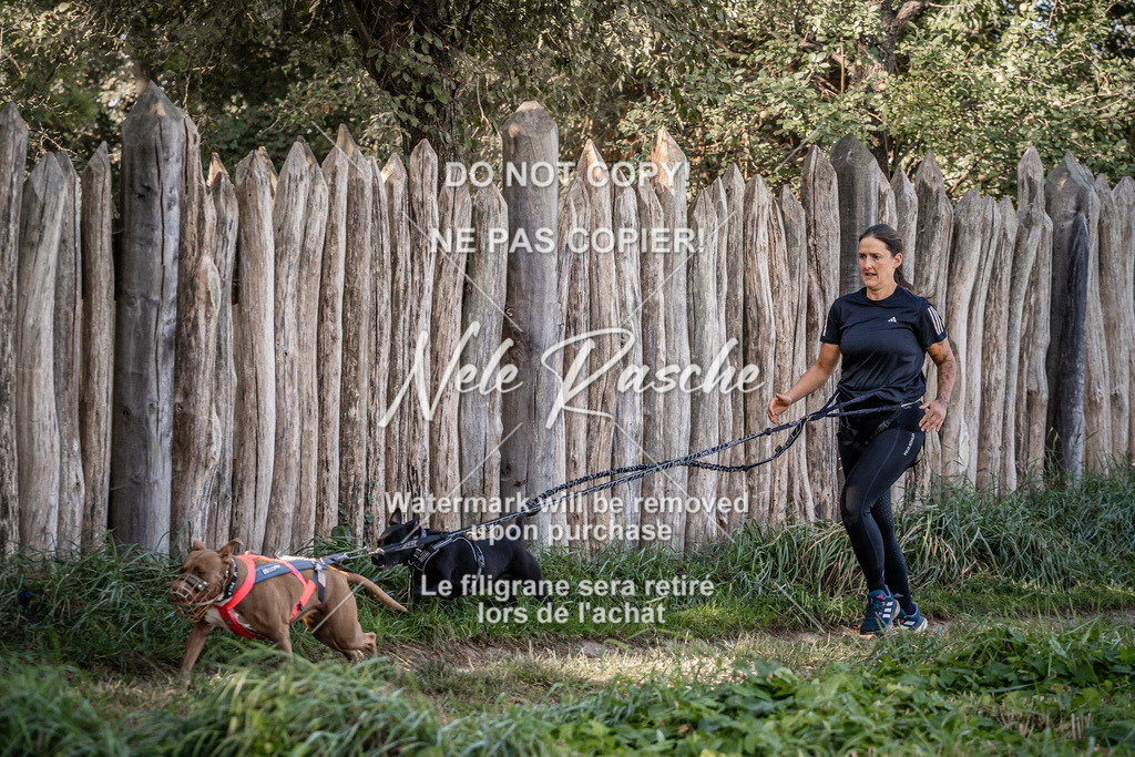 nelerasche_slaw24So_111 | nelerasche