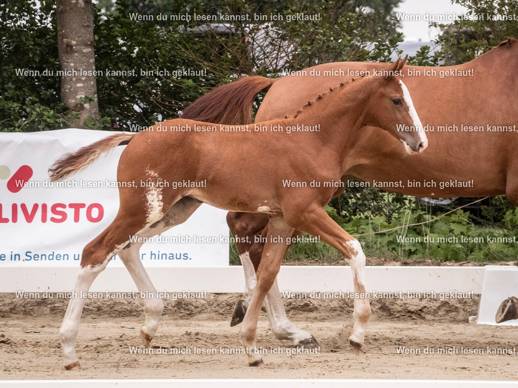 A10I9678 | photographylinaismer - Realisiert mit Pictrs.com