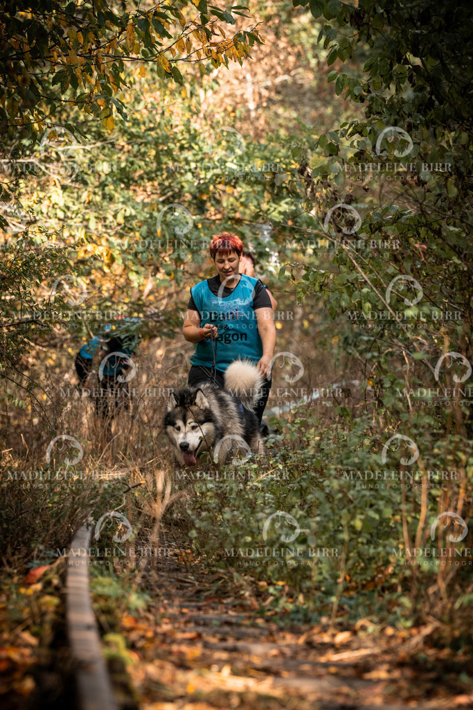 madeleinebirr.fotografie.2026.cc.hunsrueck.12-13Uhr.97 | hundefotografie-birr