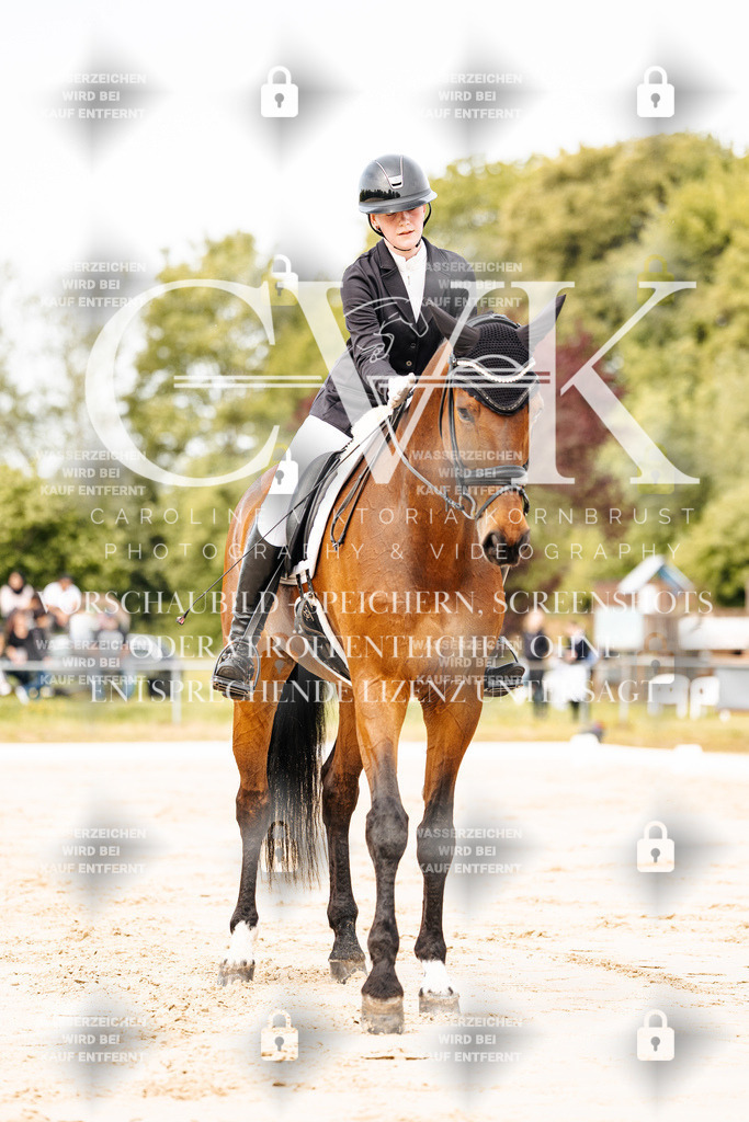 CK900815 | Turnierfotografie Pferdefotografie Trier Rheinland-Pfalz Pferdesport Reitsport Tierfotografie Sportfotografie Pferdevideo Pferdevideografie Equestrianvideography equestrianphotography  - Realisiert mit Pictrs.com