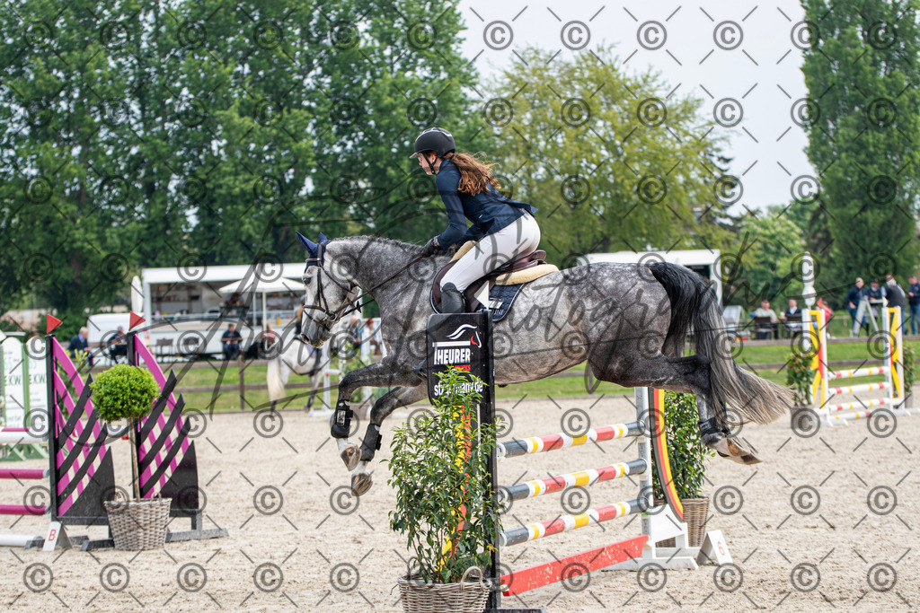 KPT_2801 | andre_photographic