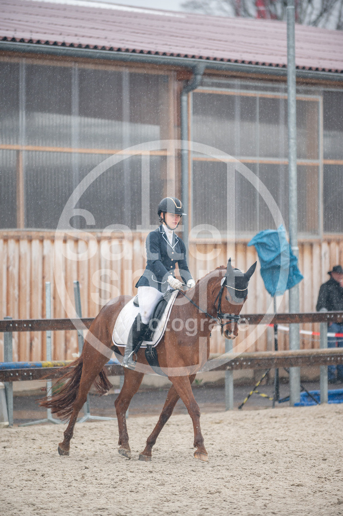 DSC_7444-2 | sattelsport - Realisiert mit Pictrs.com