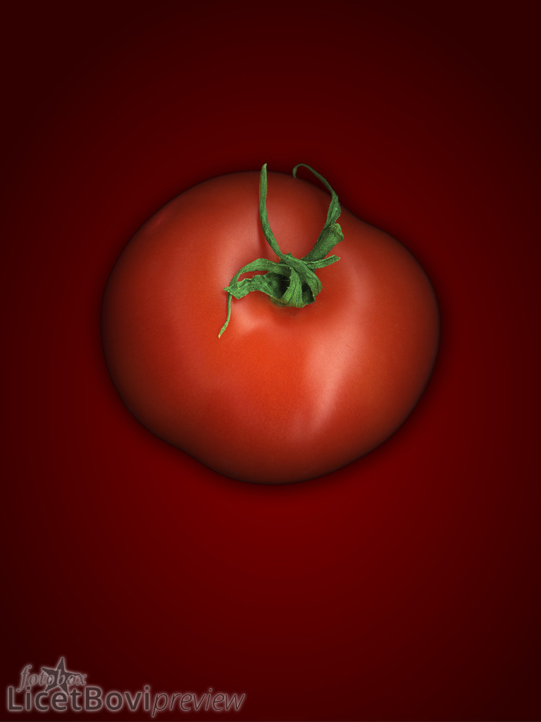 Tomate | Hamburg-Bilder, Stadt- und Naturlandschaften, Schafe, Gemüse und Stillleben – dekorative Fotos auf Leinwand, Acryl oder Papier in vielen Formaten oder als Monats-Kalender.
  - Realisiert mit Pictrs.com