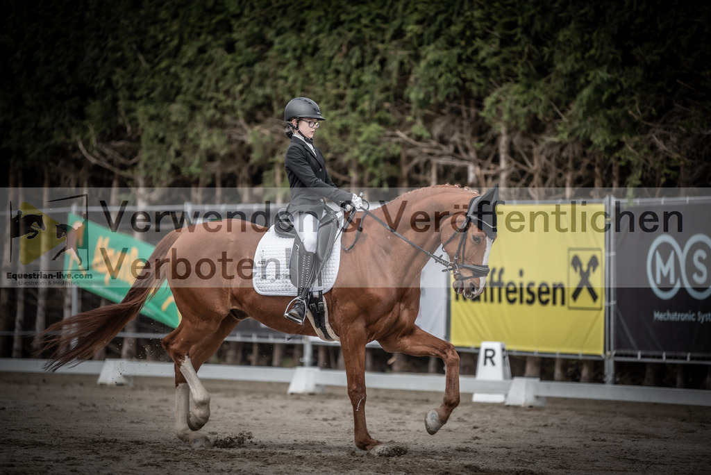 DSC_3227 | equestrian-live-com