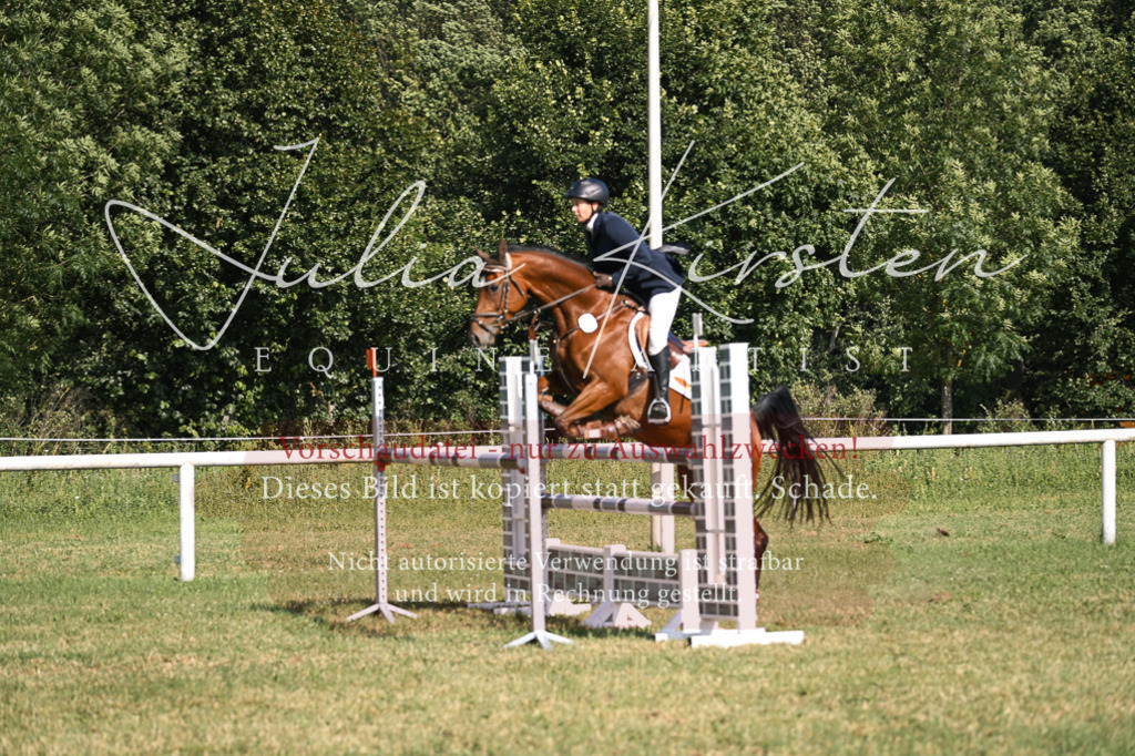 DSC_1255 | Pferde- und Turnierfotografie in Westsachsen. Pferdeportraits, Auftragszeichnungen und intuitive Kunst.