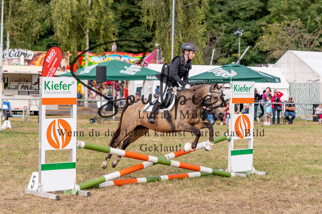 A7V08533 | Pferdefotograf