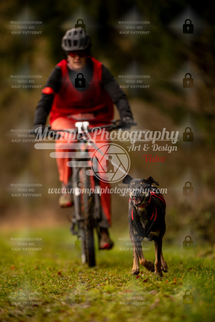 MompixPhotography_2SSTSSBW_2025_SO_Bike-88 | PayLife