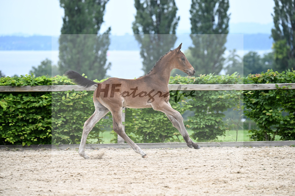 Kat-Nr. 15 Corallino x Now Or Never M_HF_Huebner_14250519 | hf-fotografie - Realizzato con Pictrs.com