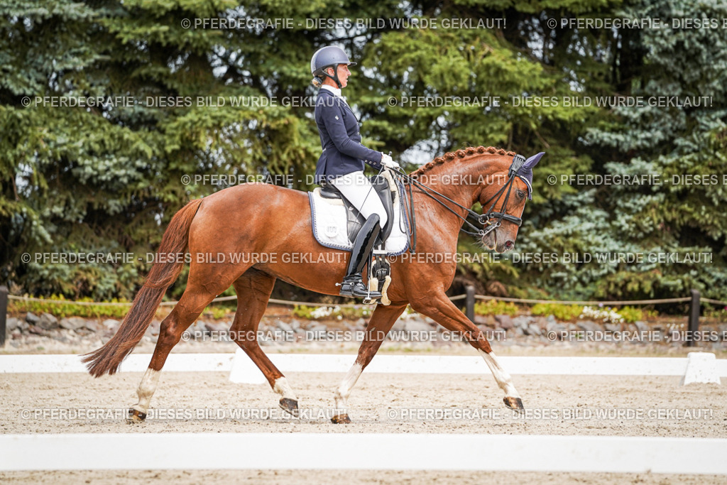 DSC05215 | Pferdegrafie