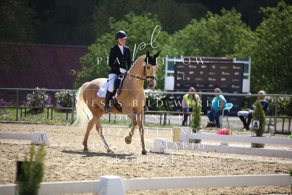 IMGT7199 | pl-fotografie