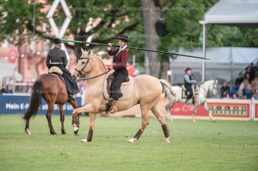 20230526_Pferdenacht_0749 | equistock