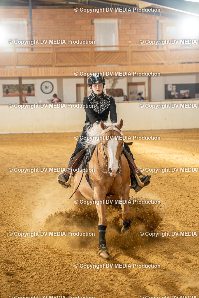 MIT01006 | dv-media-shop - Realisiert mit Pictrs.com