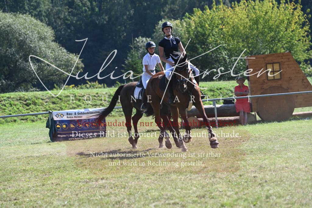 DSC_6509 | Pferde- und Turnierfotografie in Westsachsen. Pferdeportraits, Auftragszeichnungen und intuitive Kunst.