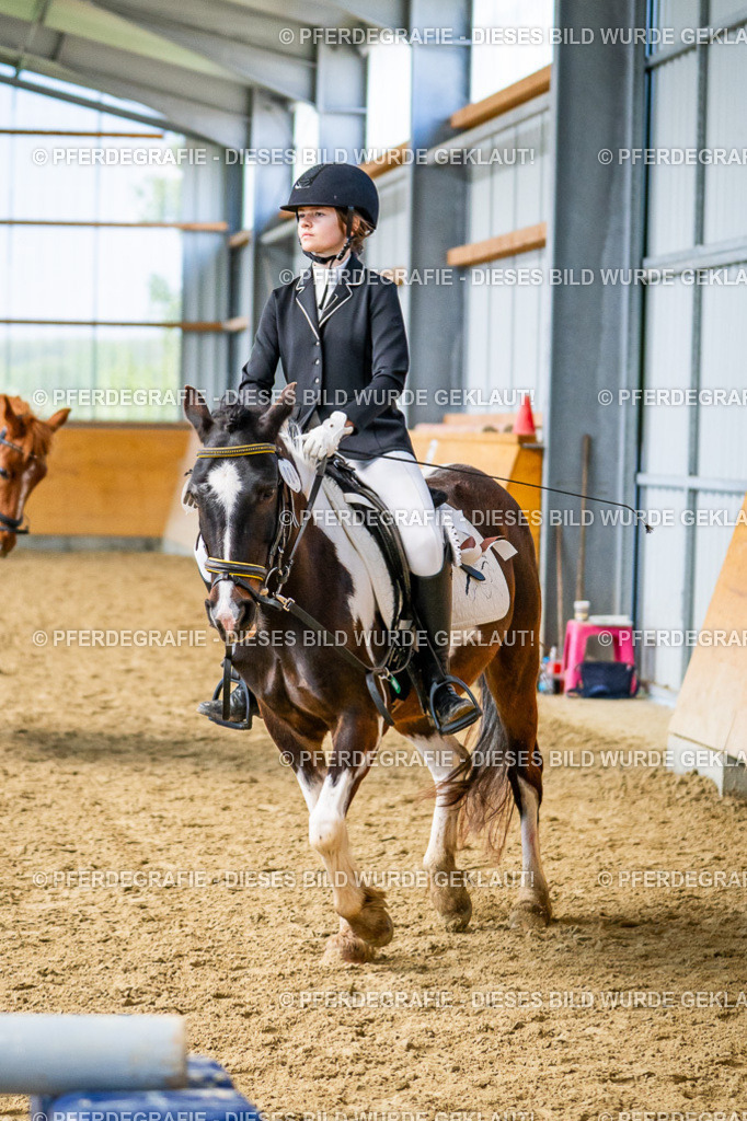 DSC03508 | Pferdegrafie