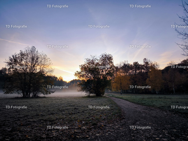 morgennebel_natur_071311 | Fotogalerie von Thomas Dettweiler mit Eventbildern und lizenzfreien Fotos. Perfekt als Wandbild, für Büro, Website oder private Nutzung. - Realisiert mit Pictrs.com