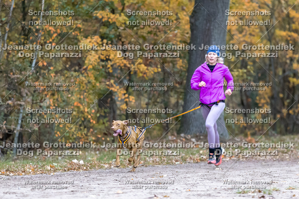 Dog Paparazzi - SD CaniX Championship 2025-98 | Dog Paparazzi Jeanette Grottendiek Fotografie & Videografie - Realisiert mit Pictrs.com