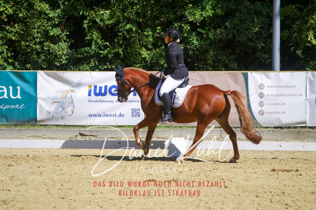 DKP42286 | Turniersportfotografie; Pferdefotografie; Dressurfotografie