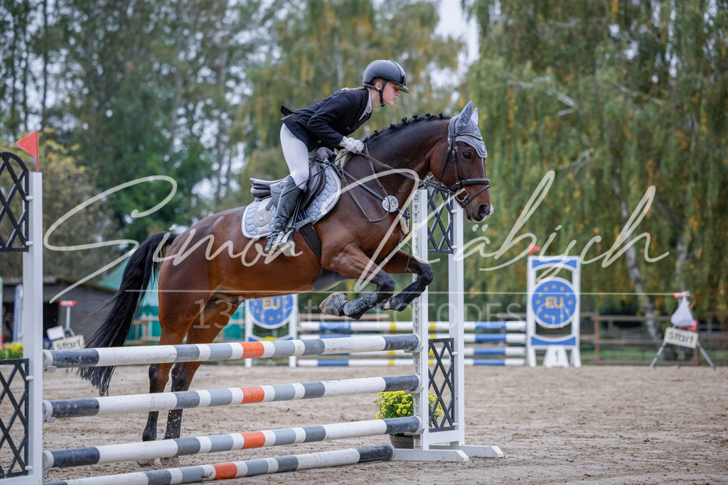 20251012-_3LI3374 | Tierfotografie Pferde, Hunde, Katzen, Haustiere.
Turnierfotografie Reitturniere, Reiten, Springreiten, Dressur in Hanau, dem Main-Kinzig-Kreis und dem Rhein-Main- Gebiet um Frankfurt