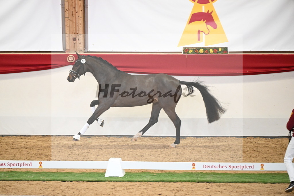 Kat.-Nr. 51 v. Donkey Boy_Lenzen_2250216 | hf-fotografie - Realizzato con Pictrs.com