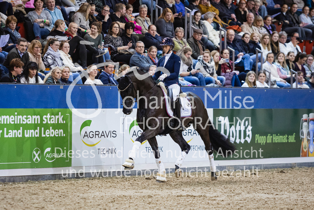 250108_Muenster_Hengstpräsentation-158 | Deine schönsten Turniermomente als professionelle Fotos! Entdecke hochwertige Pferdesport-Fotografie im Online-Shop. Jetzt Fotos finden & bestellen!