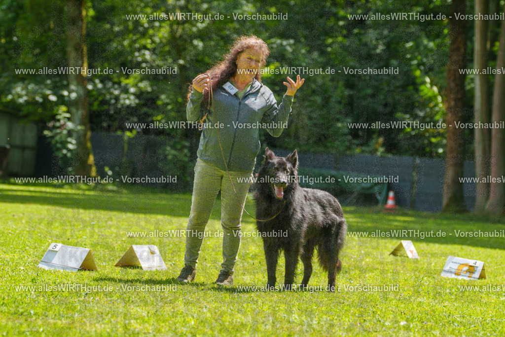 @allesWIRTHgut_Tierfotografie - www.allesWIRTHgut.de - 7R505689 | Professionelle Tierfotografie in Mönchengladbach von Daniel Wirth (allesWIRTHgut). Liebevolle & natürliche Bilder von Hunden & Katzen für unvergessliche Erinnerungen.