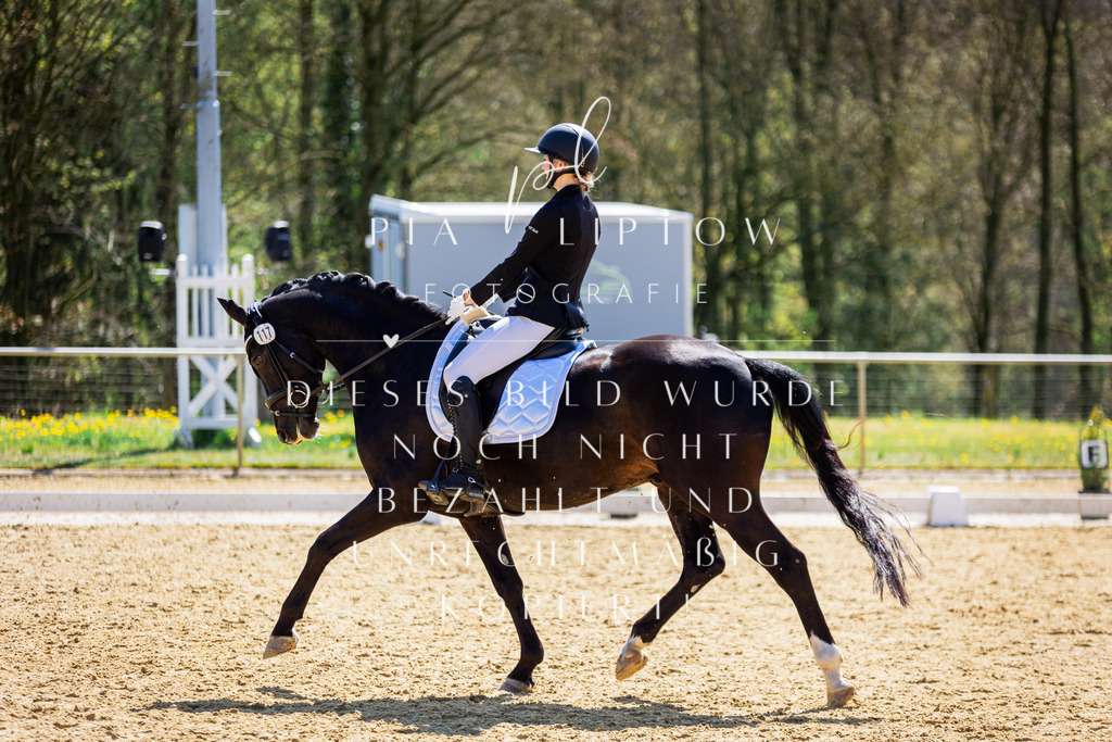 IMGT2091 | pl-fotografie