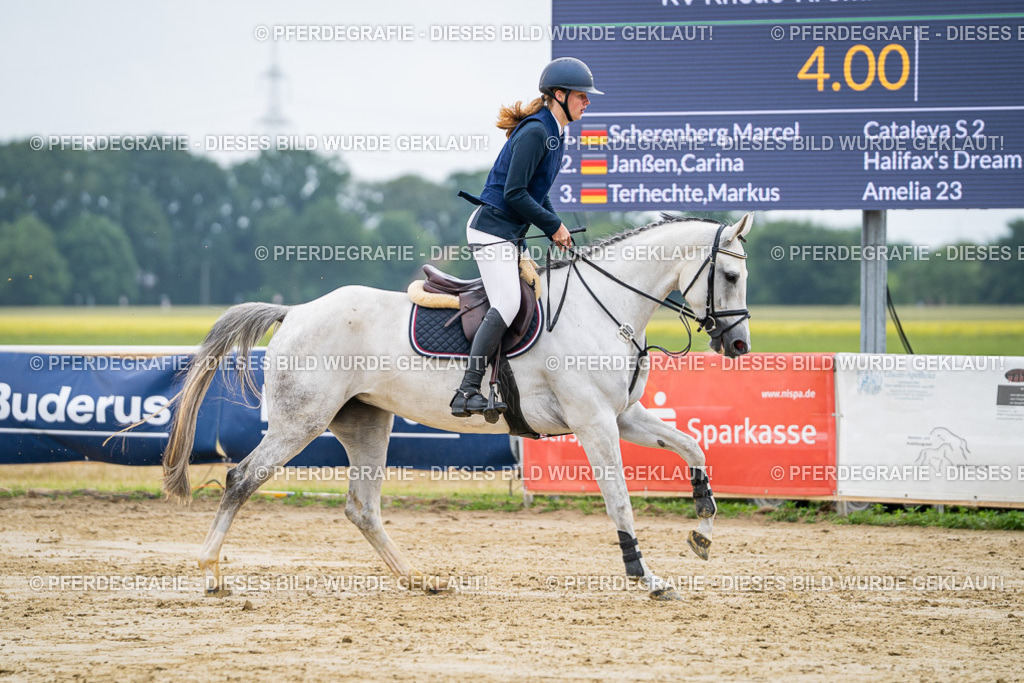 DSC02352 | Pferdegrafie