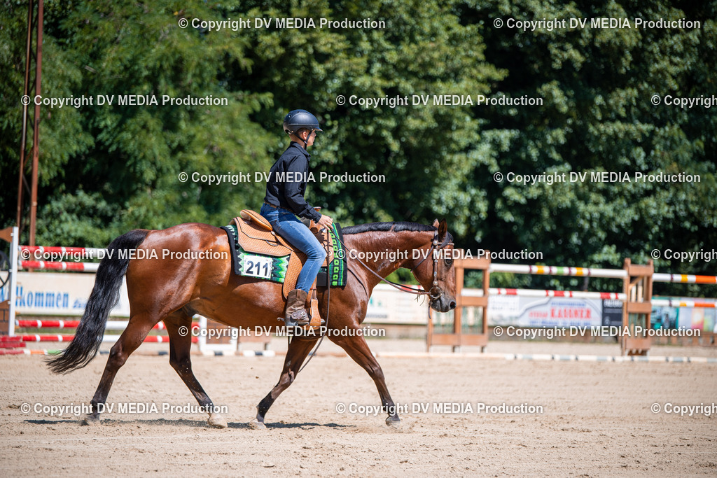 ZS1_1099 | dv-media-shop - Realisiert mit Pictrs.com