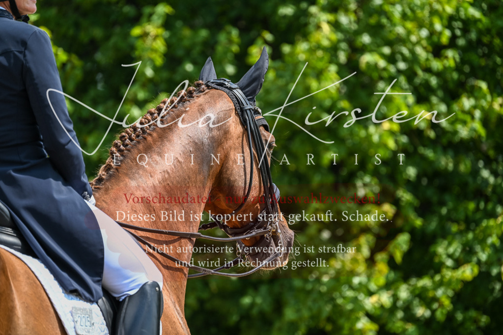 DSC_2720 | Pferde- und Turnierfotografie in Westsachsen. Pferdeportraits, Auftragszeichnungen und intuitive Kunst.