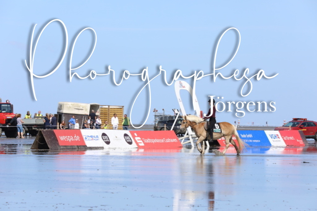 IMG_9525 | photographesa-joergens - Realisiert mit Pictrs.com