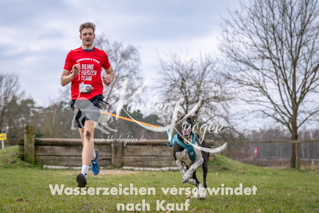 _ZZ92131 | kk-dogfotos