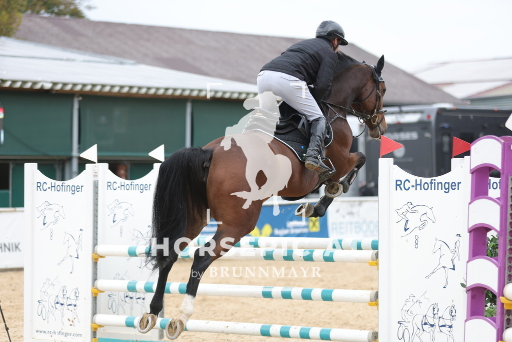 0P6A3538 | Willkommen bei Brunnmayr - Design & Fotografie – Ihrem Spezialisten für Reitturniere und Pferdeveranstaltungen in Oberösterreich, Salzburg und Bayern! Seit über 17 Jahren sind wir leidenschaftlich dabei.