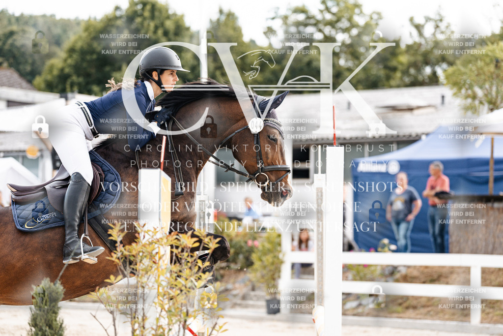 CK902547 | Turnierfotografie Pferdefotografie Trier Rheinland-Pfalz Pferdesport Reitsport Tierfotografie Sportfotografie Pferdevideo Pferdevideografie Equestrianvideography equestrianphotography  - Realisiert mit Pictrs.com
