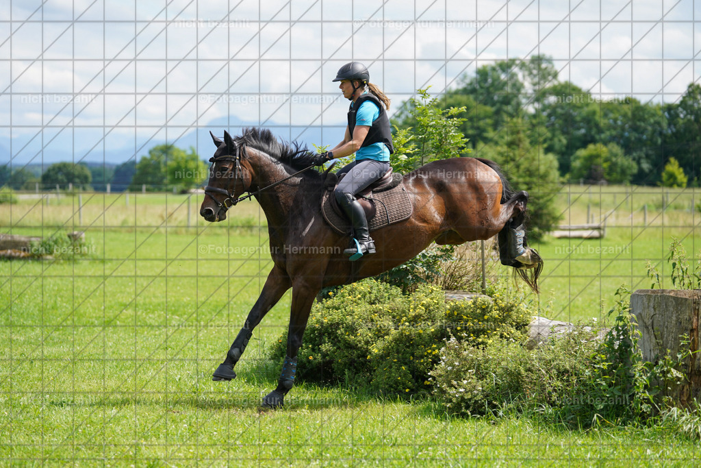 20240622-FAH07617 | Turnierfotografen Bayern, Reitsportbilder aus dem Geländekurs mit Felix Etzel auf dem Gut Waitzacker 2024