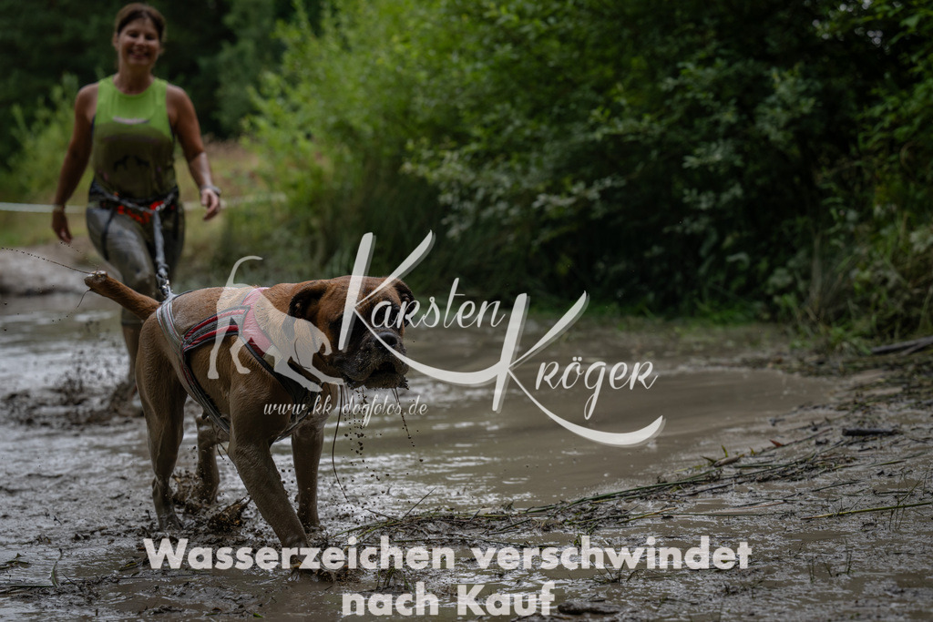 1436_ZZ92056 | kk-dogfotos