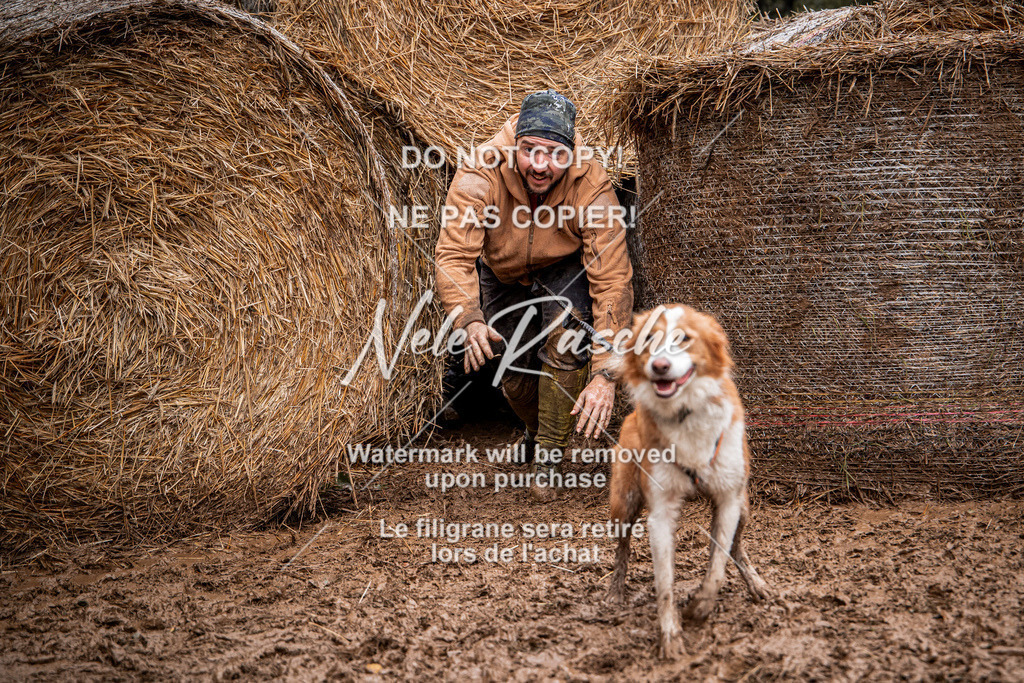 nelerasche_Hunsrück_So09-11_183 | nelerasche