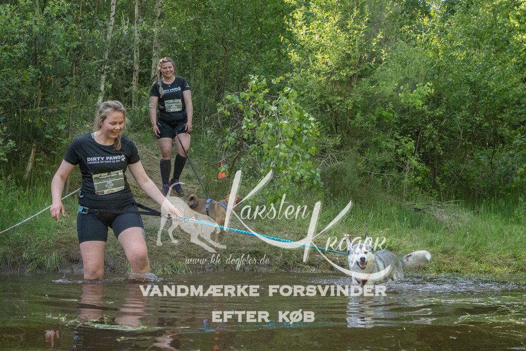 1742DKK992421 | kk-dogfotos