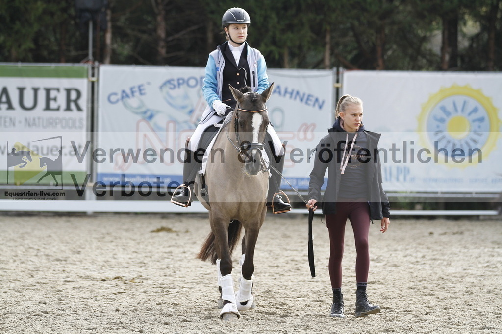 Klasse A 4jährige (14) | equestrian-live-com