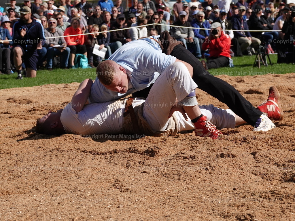 DSC07107 | Schwingen - Realisiert mit Pictrs.com