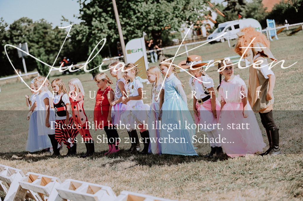 DSC_9253 | Pferde- und Turnierfotografie in Westsachsen. Pferdeportraits, Auftragszeichnungen und intuitive Kunst.