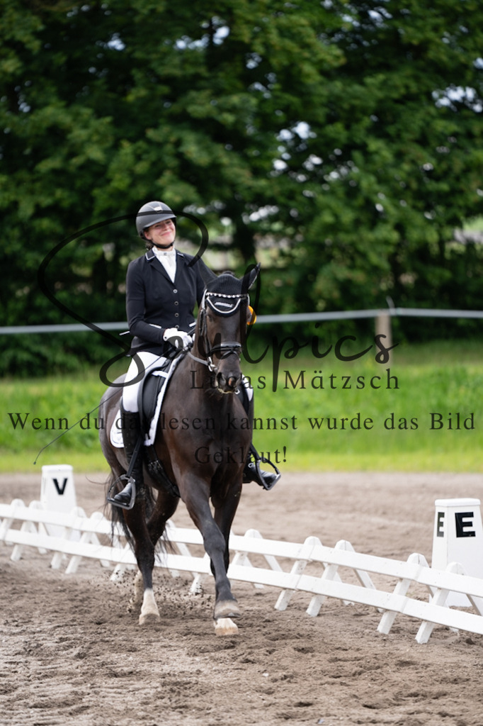 A7V03834 | Pferdefotograf